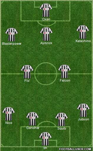 Newcastle United Formation 2013