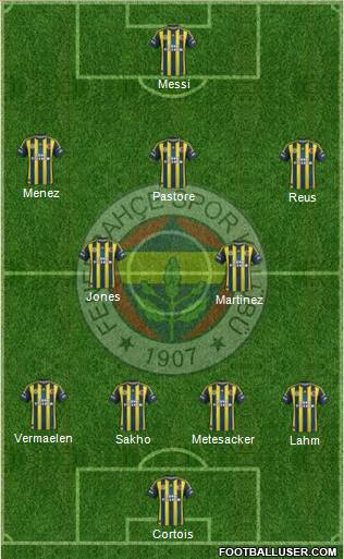 Fenerbahçe SK Formation 2013