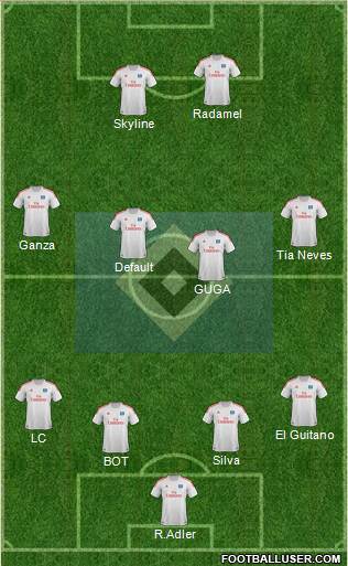 Hamburger SV Formation 2013