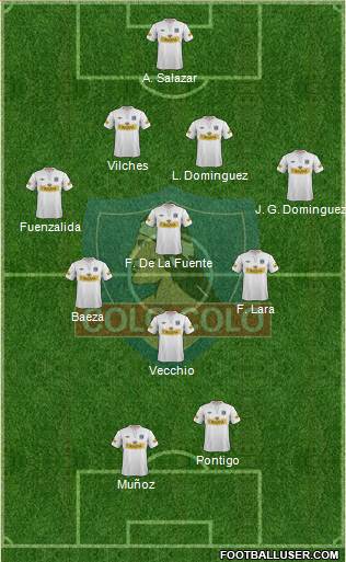 CSD Colo Colo Formation 2013