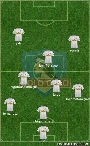 CSD Colo Colo Formation 2013