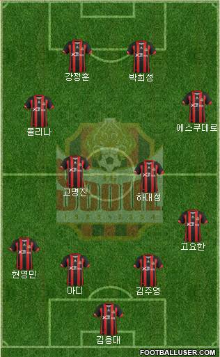 FC Seoul Formation 2013