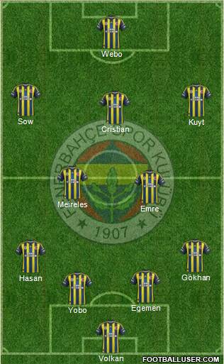 Fenerbahçe SK Formation 2013