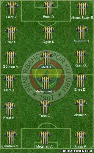 Fenerbahçe SK Formation 2013