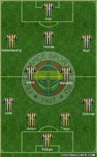 Fenerbahçe SK Formation 2013
