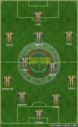 Fenerbahçe SK Formation 2013