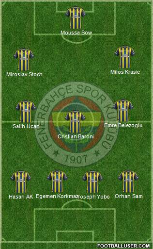Fenerbahçe SK Formation 2013