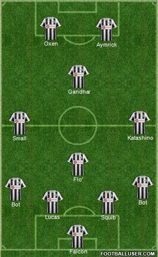 Newcastle United Formation 2013