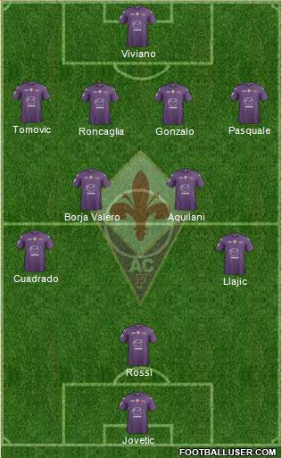 Fiorentina Formation 2013
