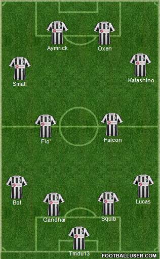 Newcastle United Formation 2013