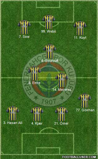Fenerbahçe SK Formation 2013