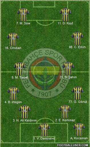 Fenerbahçe SK Formation 2013