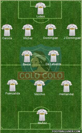 CSD Colo Colo Formation 2013