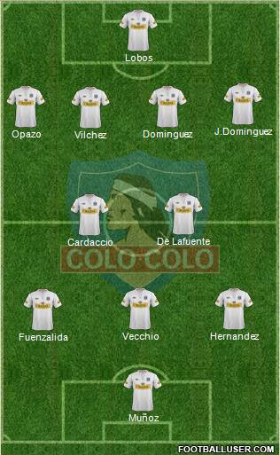 CSD Colo Colo Formation 2013
