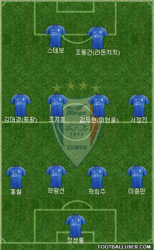 Suwon Samsung Blue Wings Formation 2013