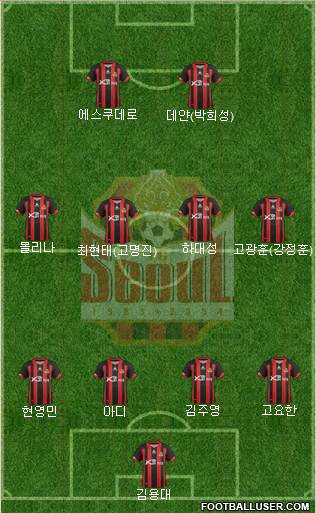 FC Seoul Formation 2013