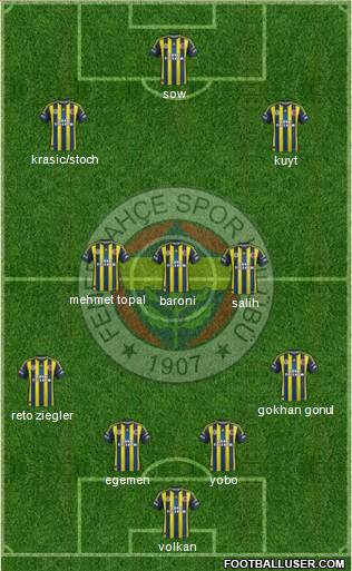 Fenerbahçe SK Formation 2013
