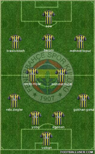 Fenerbahçe SK Formation 2013