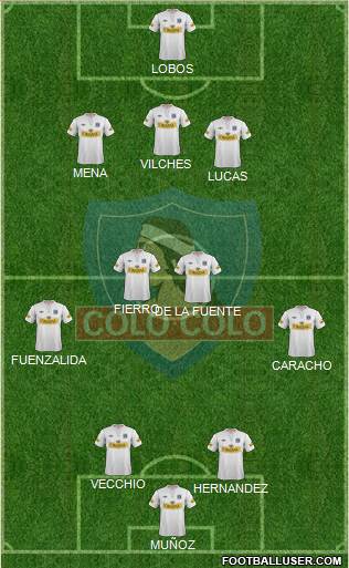 CSD Colo Colo Formation 2013