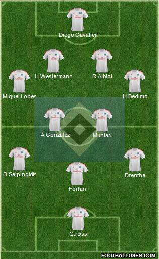 Hamburger SV Formation 2013