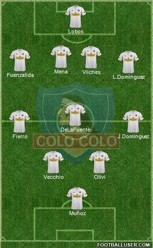 CSD Colo Colo Formation 2013