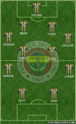 Fenerbahçe SK Formation 2013