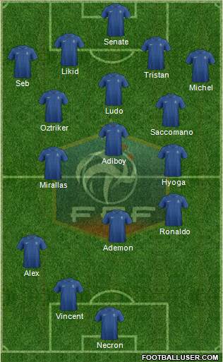 France Formation 2013