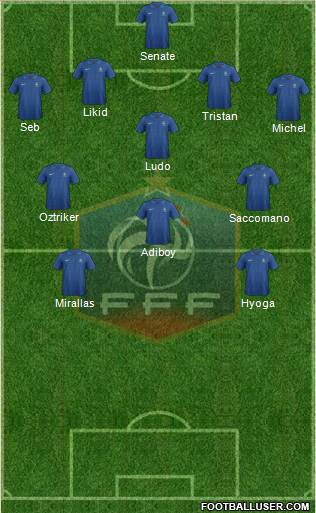 France Formation 2013