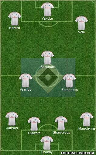 Hamburger SV Formation 2013