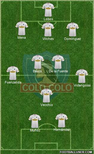 CSD Colo Colo Formation 2013