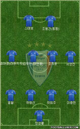 Suwon Samsung Blue Wings Formation 2013