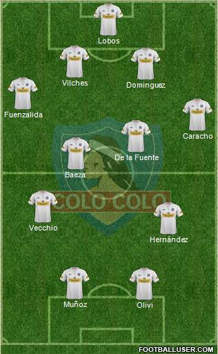 CSD Colo Colo Formation 2013