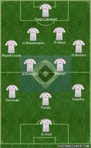 Hamburger SV Formation 2013