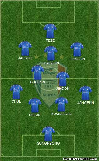 Suwon Samsung Blue Wings Formation 2013