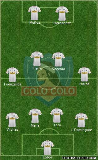 CSD Colo Colo Formation 2013
