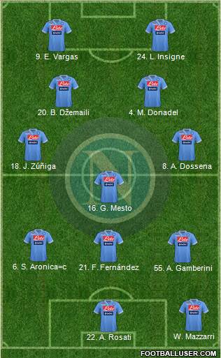 Napoli Formation 2013