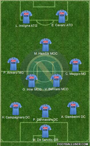 Napoli Formation 2013