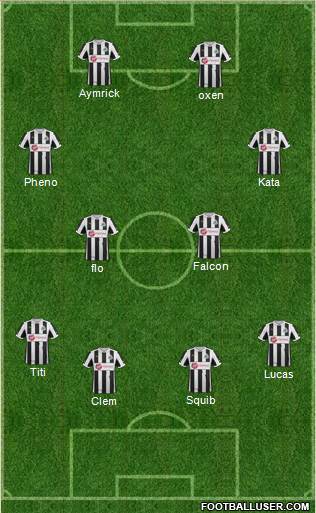 Newcastle United Formation 2013