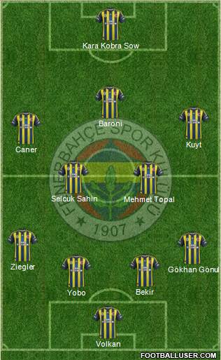 Fenerbahçe SK Formation 2013