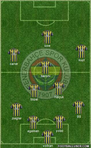 Fenerbahçe SK Formation 2013