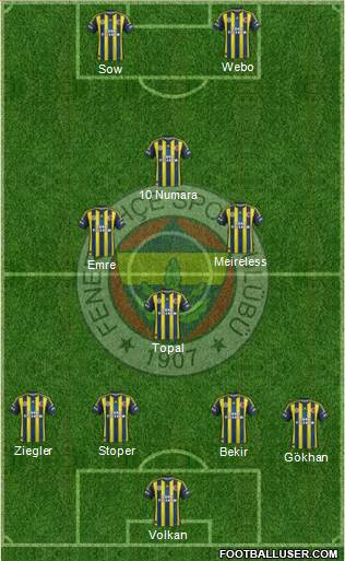 Fenerbahçe SK Formation 2013