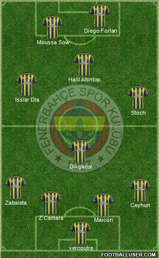 Fenerbahçe SK Formation 2013