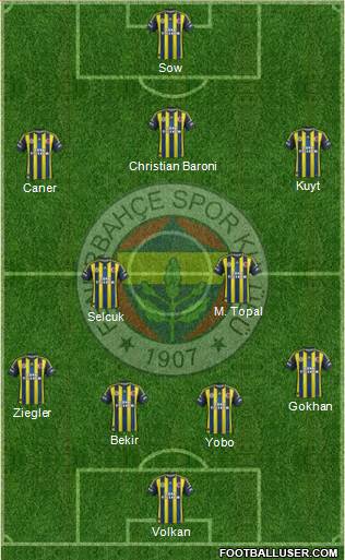 Fenerbahçe SK Formation 2013