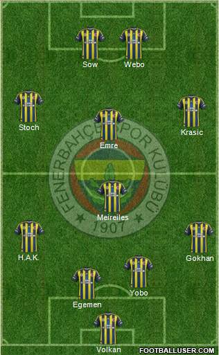 Fenerbahçe SK Formation 2013