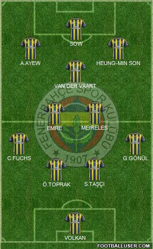 Fenerbahçe SK Formation 2013