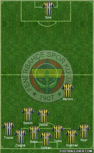 Fenerbahçe SK Formation 2013