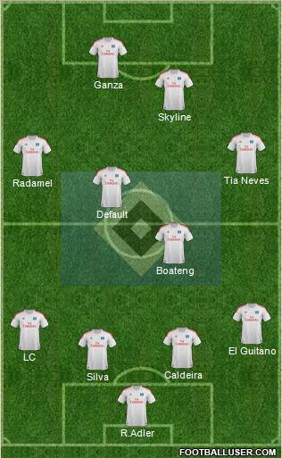 Hamburger SV Formation 2013