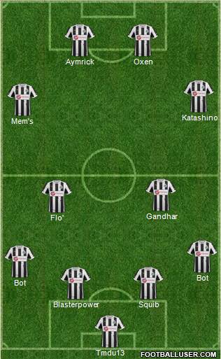 Newcastle United Formation 2013