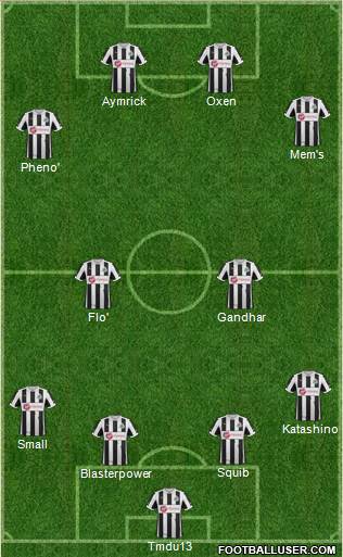 Newcastle United Formation 2013