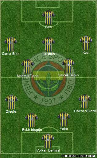Fenerbahçe SK Formation 2013